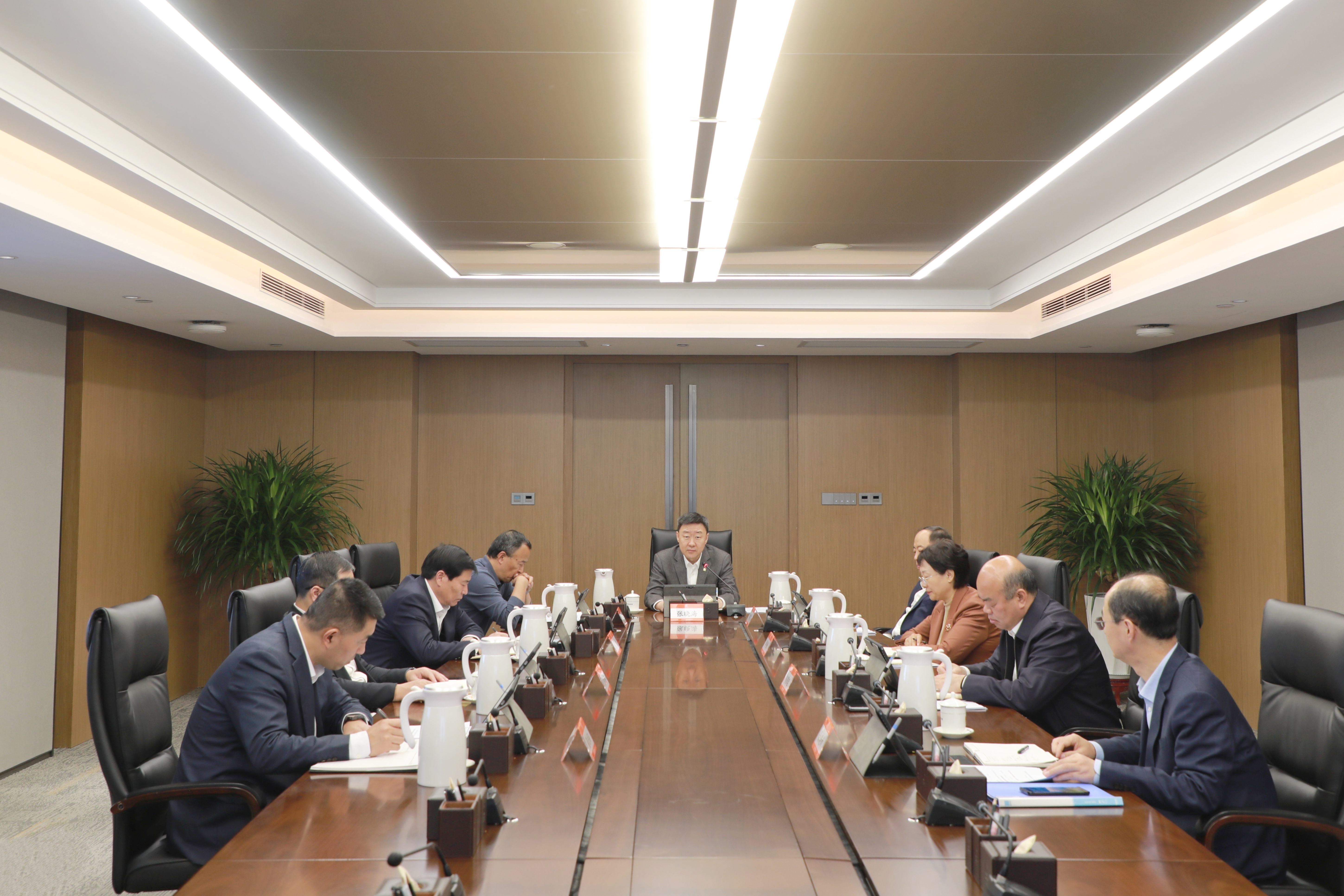 集团党委常委会召开会议 传达学习习近平总书记重要讲话精神 研究有关事项