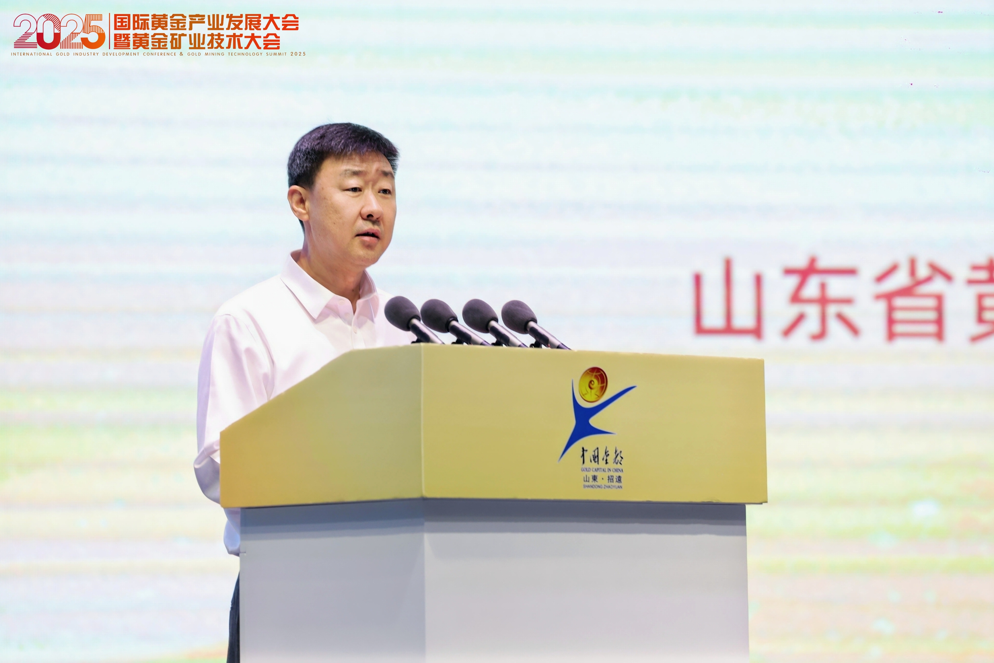 张晓海应邀参加2025国际黄金产业发展大会并致辞
